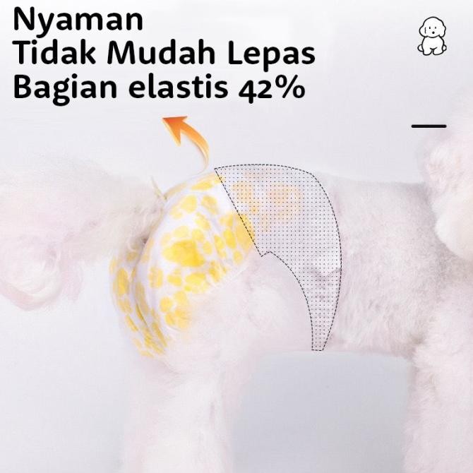 Baru Pampers Anjing Betina Popok Anjing Female Dono - Popok Pampers Celana