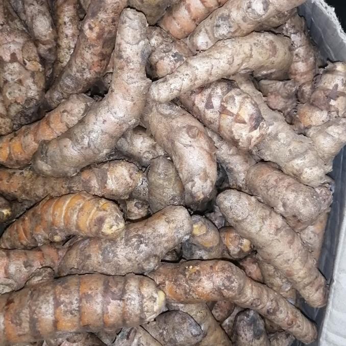 

Promo!!! Kunyit Segar 1 KG nUg