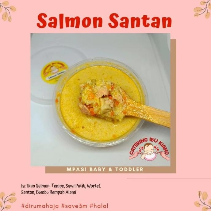 

Salmon Santan Mpasi Baby Frozen nUg