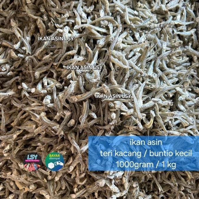 

Grosir Teri Buntiau / Teri Kacang Super 1 Kg