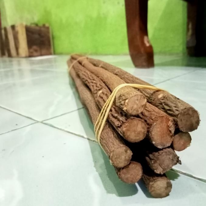 Tangkringan murai asem jawa super 10 biji | BEST QUALITY