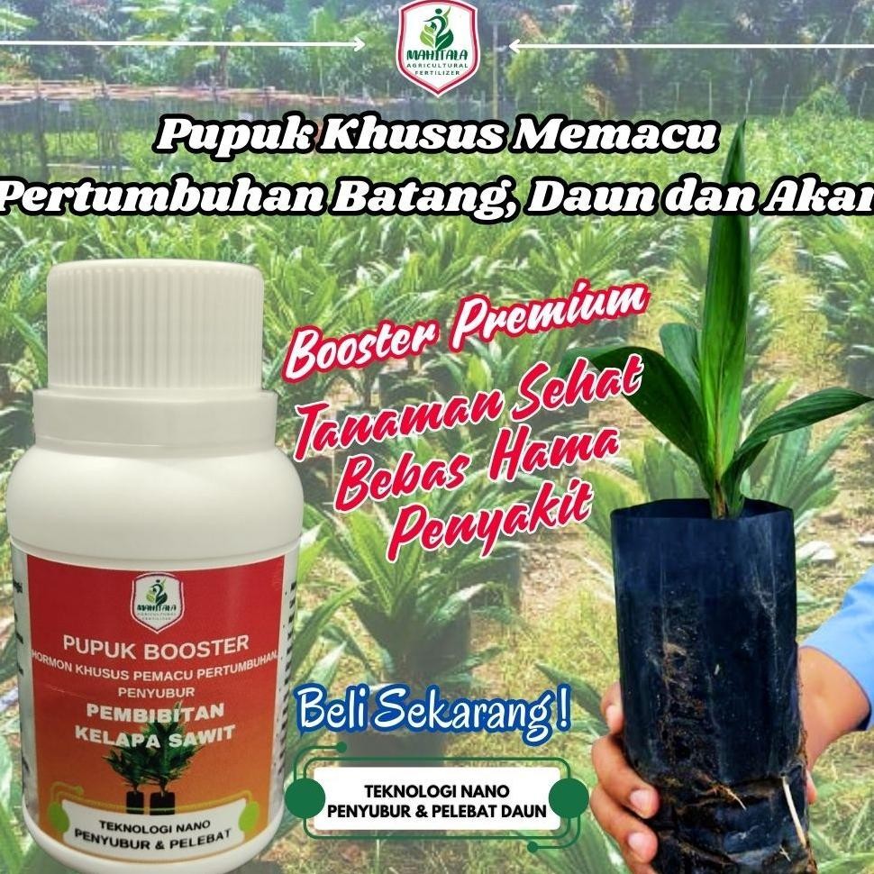 Pupuk Khusus Bibit Kelapa Sawit Pupuk Bibit Sawit Kecil Pupuk Untuk Kecambah Sawit Pupuk Daun Untuk 