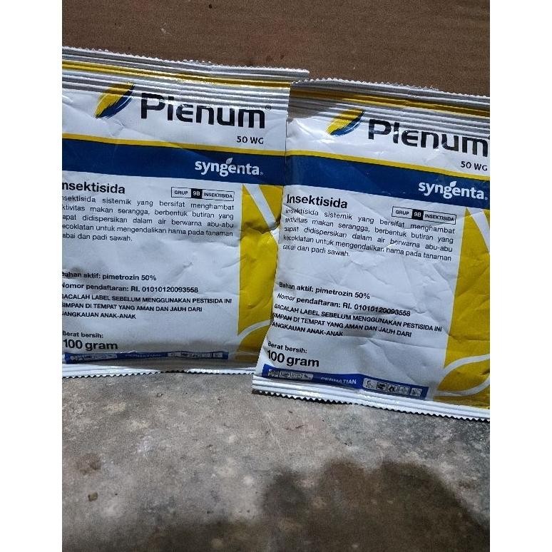 Plenum 100 Gram