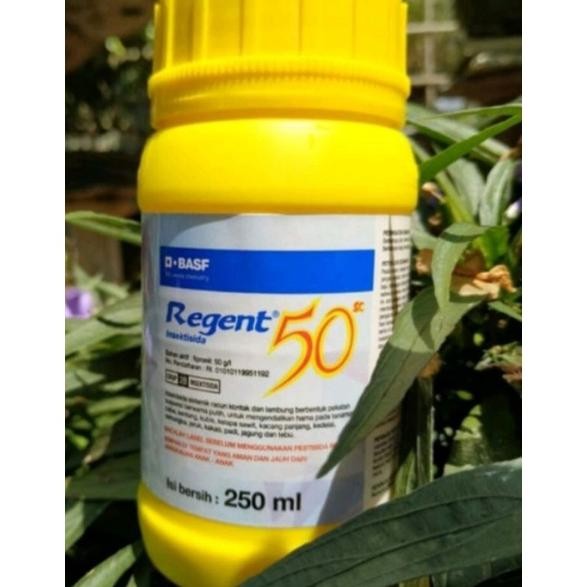 Regent 50 SC 250ML