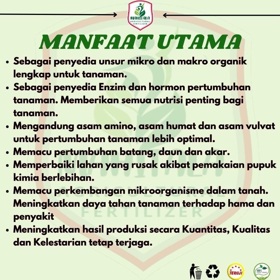 Pupuk Penyubur Daun Dan Batang Bibit Sawit Pupuk Untuk Kecambah Sawit Pupuk Daun Bibit Sawit Terbaik