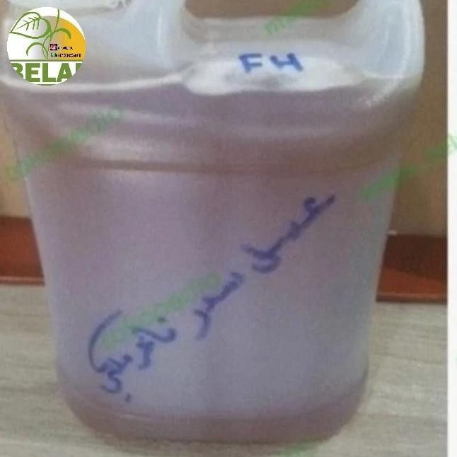 

Madu Sidr Yaman Fakher 1 Kg Dan 500Gr Best Seller