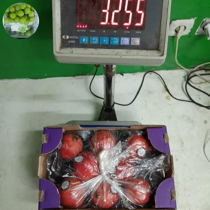 

Grosir Buah Delima Pomegranate Fresh Import