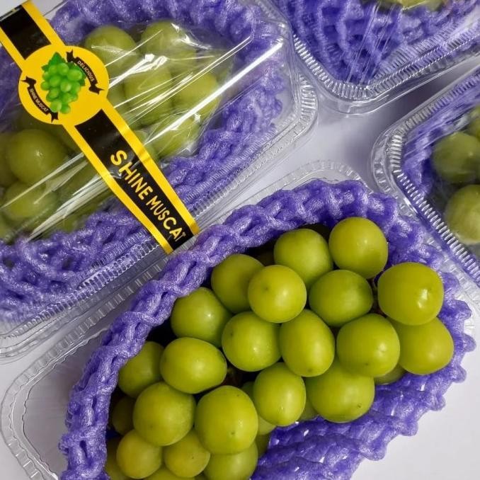 

Murah Anggur Green Muscat Fresh 1 Pack