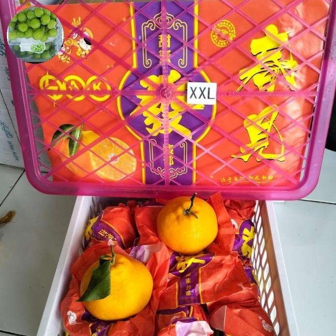 

Murah Jeruk Chun Jian Manis Non Biji Spesial Imlek