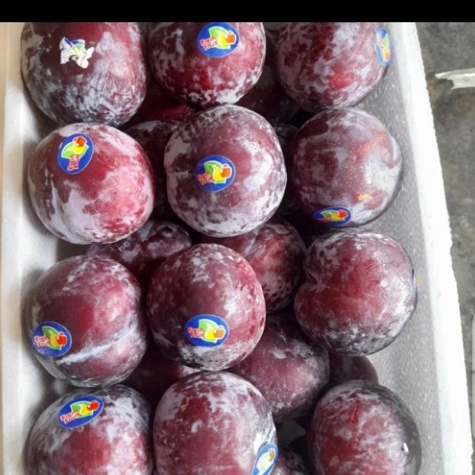 

Murah Buah Plum Merah Fresh Per 1 Kg