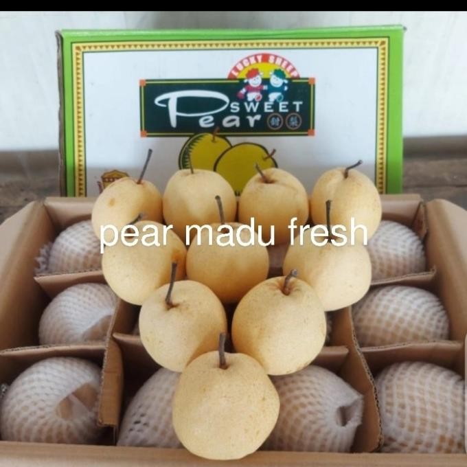 

Grosir Buah Pear Madu /Sweet Pear Fresh Manis Per 1 Dus