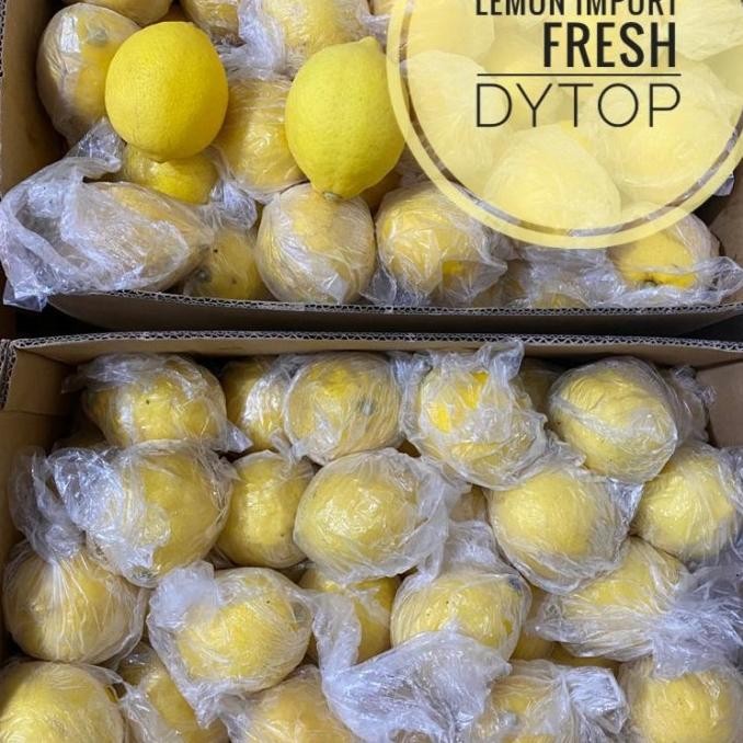 

Promo Buah Jeruk Lemon Import Fresh Segar - Per Dus / Box