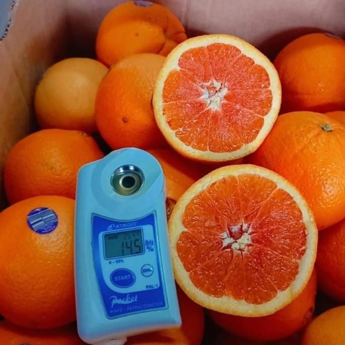 

Murah Sankist Cara-Cara Merah Manis Sankis Potong