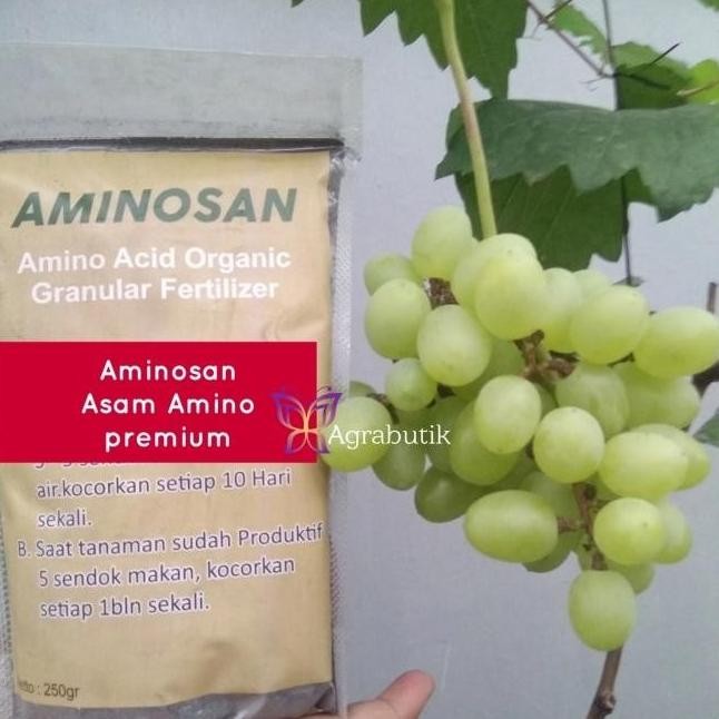 Aminosan organik Asam amino premium aneka tanaman buah anggur Az