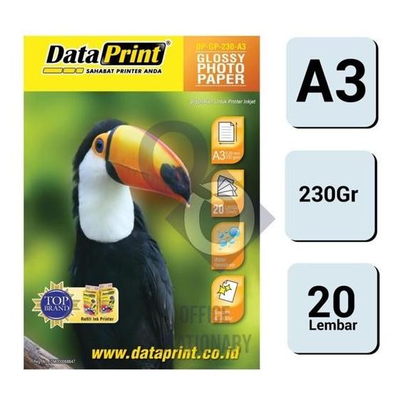 

Dataprint Glossy Photo Paper 230 A3 / Kertas Data Print Glossy Paper Terlaris