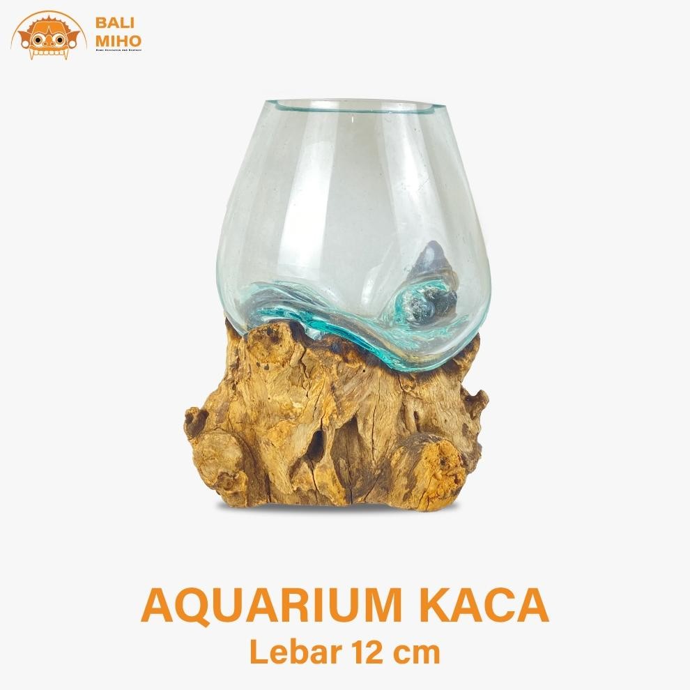 Living Aquarium Kayu 12 Cm - Akuarium Akar - Akuarium Kaca Tiup - Akuarium Cupang - Aquarium Kaca Ka