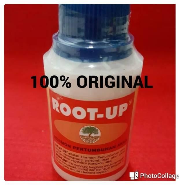 Zpt/Obat Cangkok Dan Stek/Root Up
