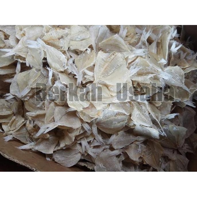 

Grosir Ikan Asin Tipis Pakang Kapasan Kering Fresh 1Kg Murah Grosir