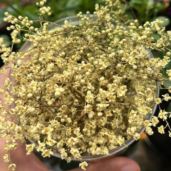 

Sale Dried Elderflower