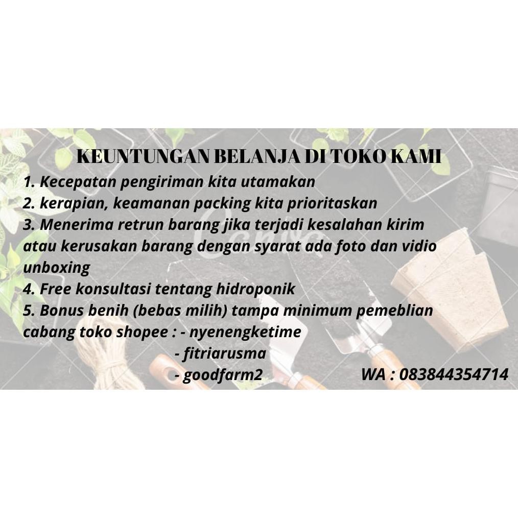 PAKET HIDROPONIK 12 LUBANG 1 BAK | SET HIDROPONIK | HIDROPONIK PEMULA | KIT HIDROPONIK | HIDROPONIK