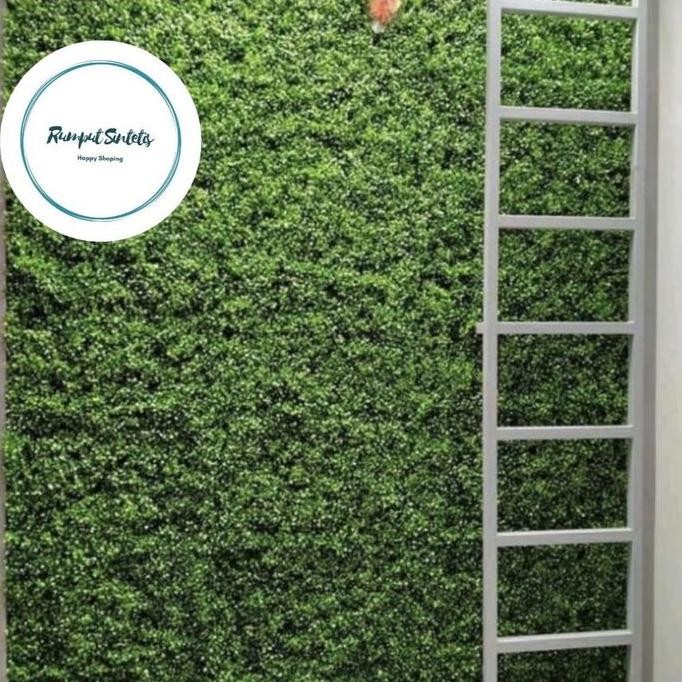 New Dolar Rambat Sintetis 40X30Cm /Hiasan Dinding /Dolar Rambat /Daun Plastik /Artificial /Vertical 