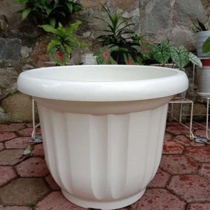 POT PLASTIK PREMIUM BESAR PUTIH 60 CM