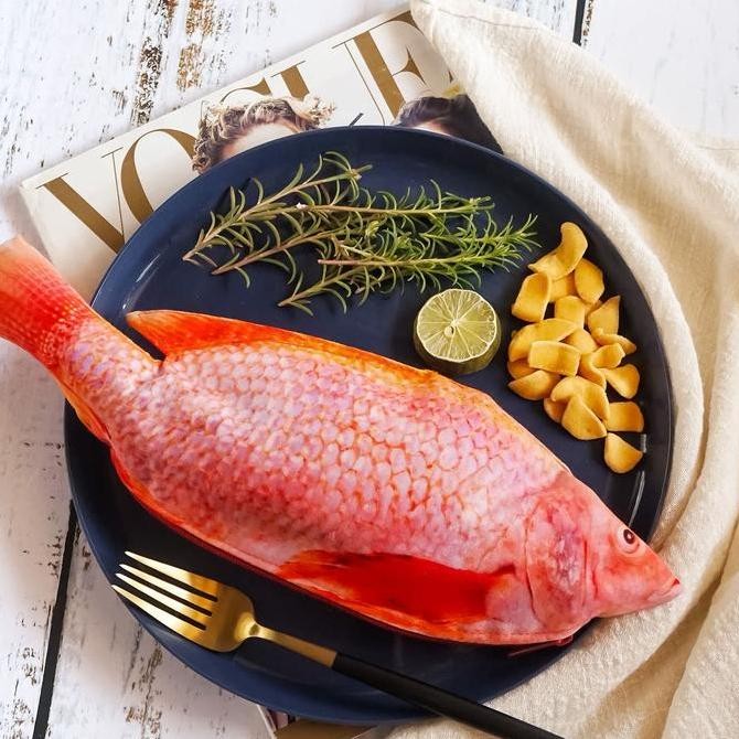 

Terbaru Tempat Pensil Unik Bentuk Ikan Nila Merah Shrelo Untuk Sekolah Kantor Penggemar Mancing Kreasi Lokal Indonesia