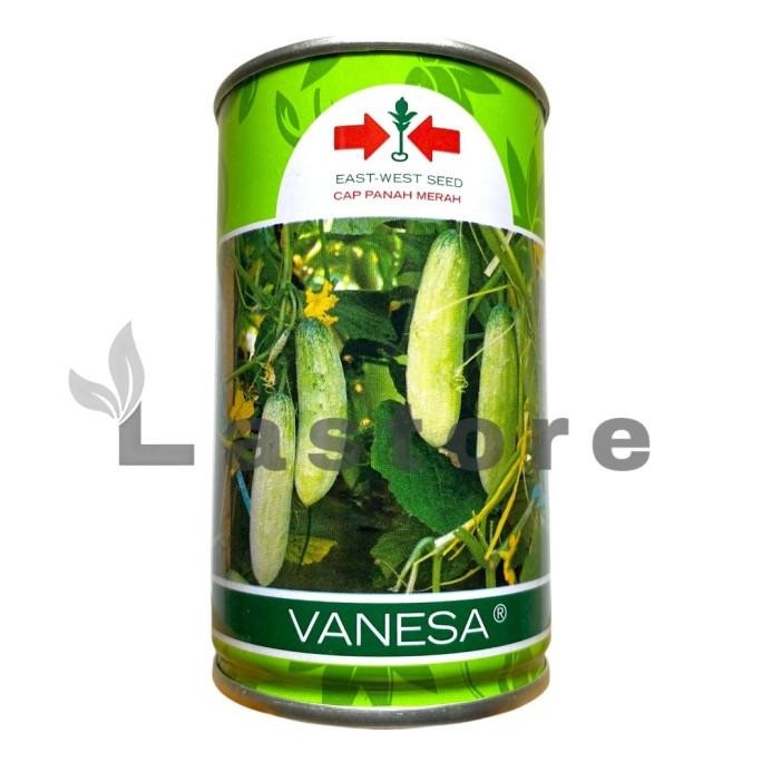 Benih timun lalap Vanesa cap panah merah 50gr kaleng - timun putih