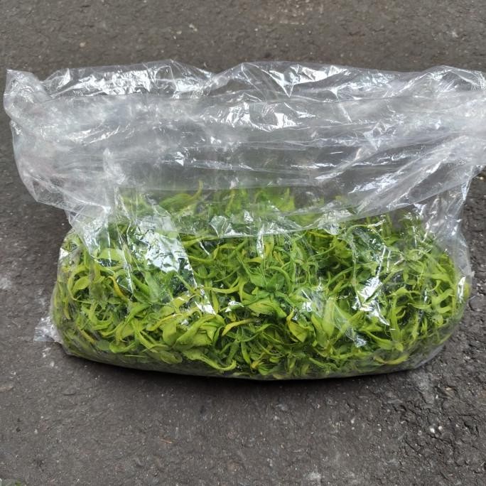 

Bunga Kenanga Wangi dan Segar (Bunga Segar Jakarta)