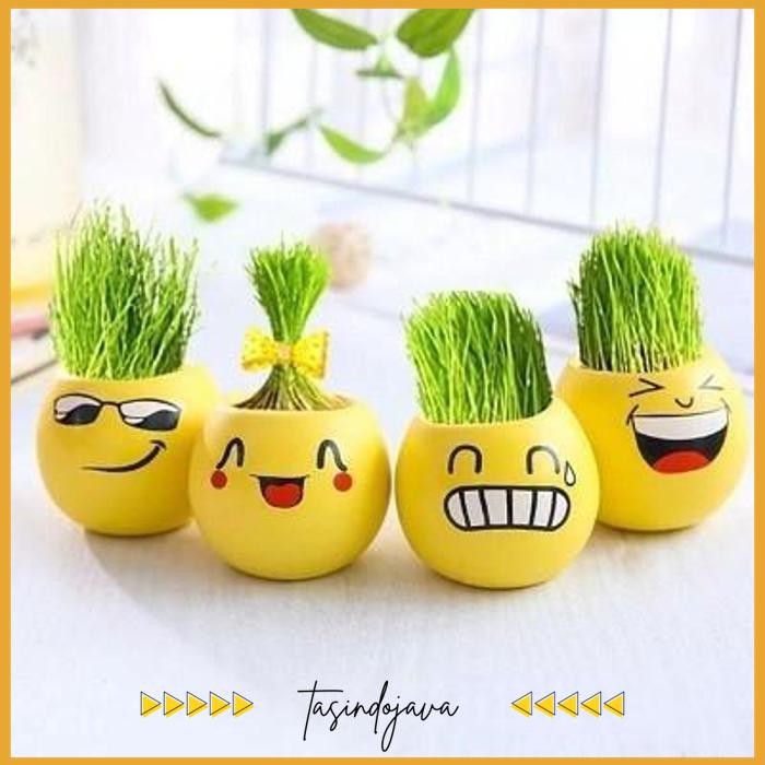 POT MINI EMOJI PAJANGAN MEJA - POT TANAMAN HIAS RUMPUT BEST PRODUCT