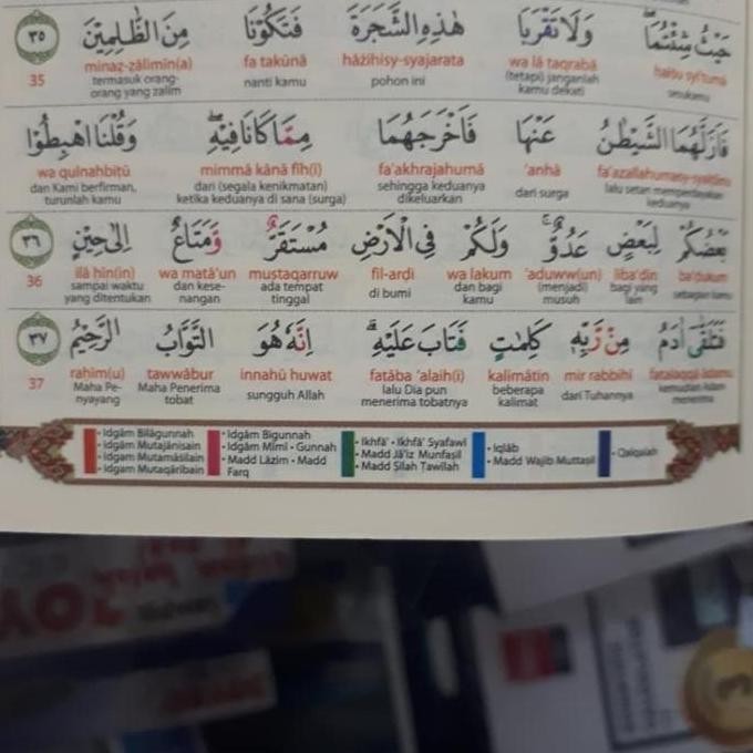 al quran al mutakabbir b6 terjemah latin perkata tajwid warna murah