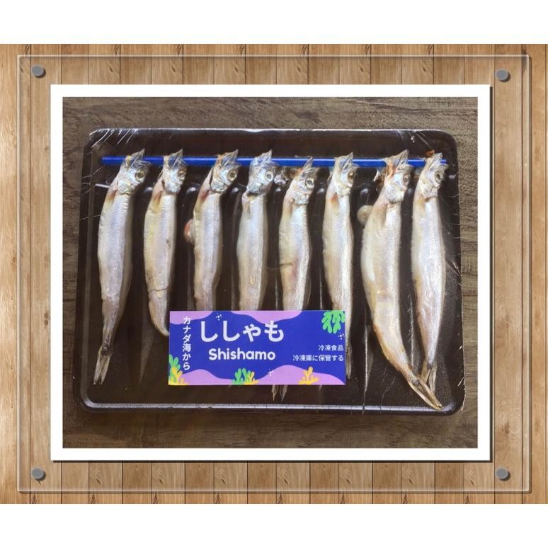 

Diskon Shisamo Fish Egg 500Gr - Ikan Capelin Diskon