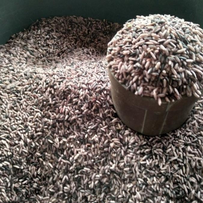 

Baru beras ketan hitam sosoh 1 liter