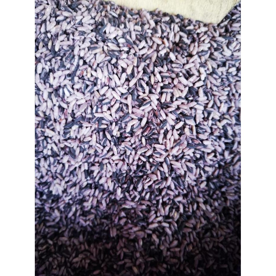 

Baru Beras Ketan Hitam Sosok - Bawang Bagus