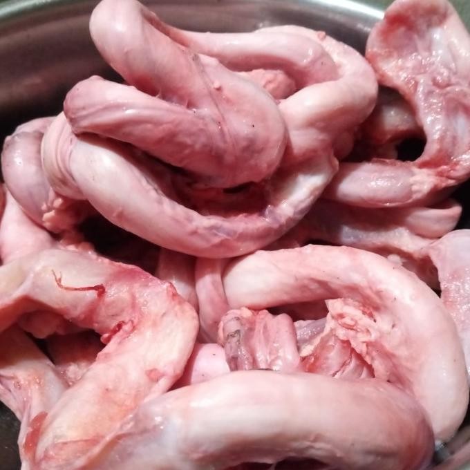 

kolasaj Urat Kelamin Sapi 500 gram