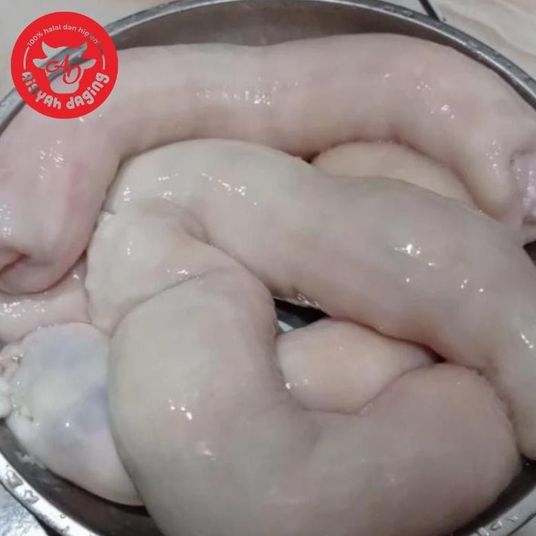 TERLARIS Daechang Usus Sapi Besar Makanan Korea 500 gram - 1 Kg | Aisyah Daging Siap kirim