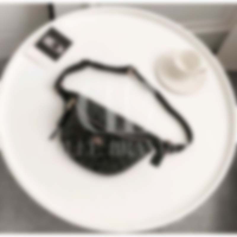 BELT BAG IN SIGNATURE CANVAS ( F48740)