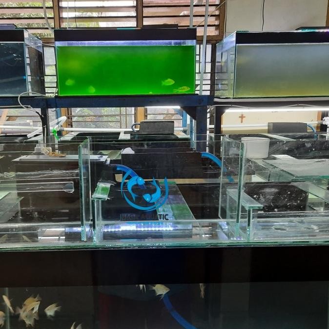 Top Filter Kaca 80 cm 3 chamber khusus ojek