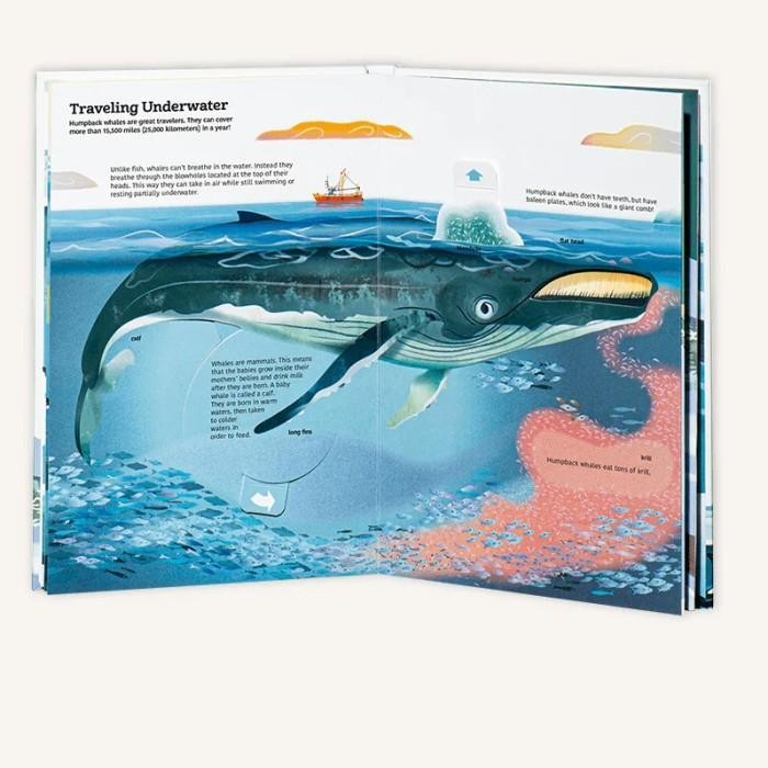 Ultimate Spotlight Polar Animals Twirl