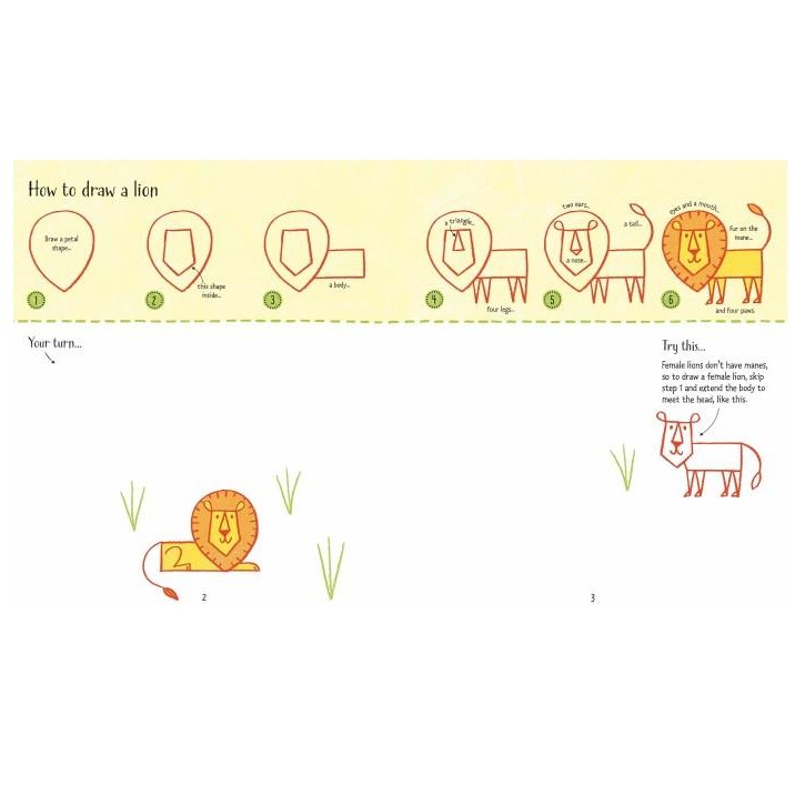 

Step By Step Drawing Usborne