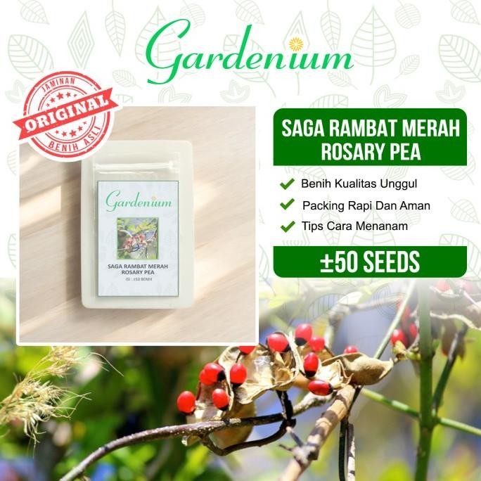

Terlaris Gardenium Saga Rambat Merah Red Rosary Pea Tanaman Herbal