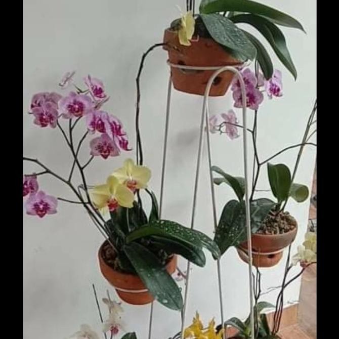 Rak pot tanaman besi bunga tanaman anggrek murah 6 susun lobang putih