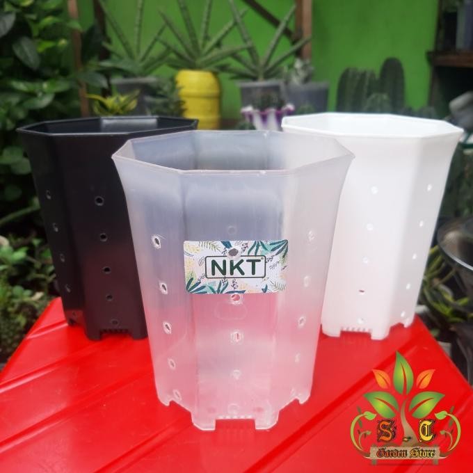 POT NKT PAGODA 10 BERLUBANG BENING TRANSPARAN | POT BUNGA TANAMAN
