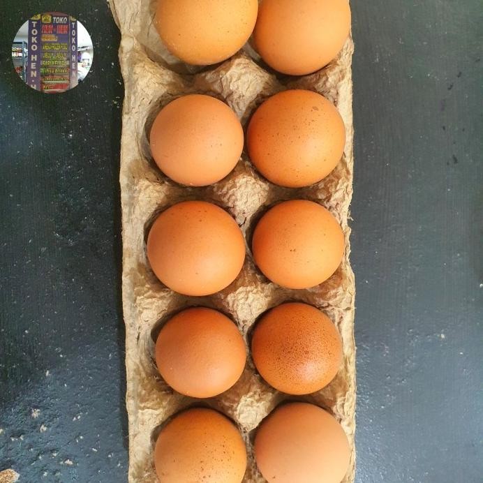 

Terlaris Telur Ayam Negeri / Telor Ayam Negri Grade A 10 Butir