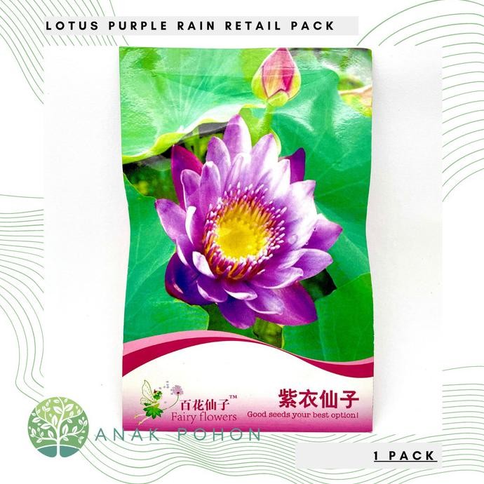 

( 1 PACK) Lotus Seroja Nelumbo Purple Rain Retail Pack - IMPORT murah