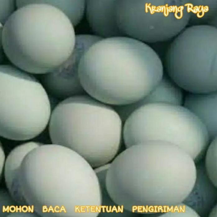 

Terlaris Telur Asin / Telor Asin