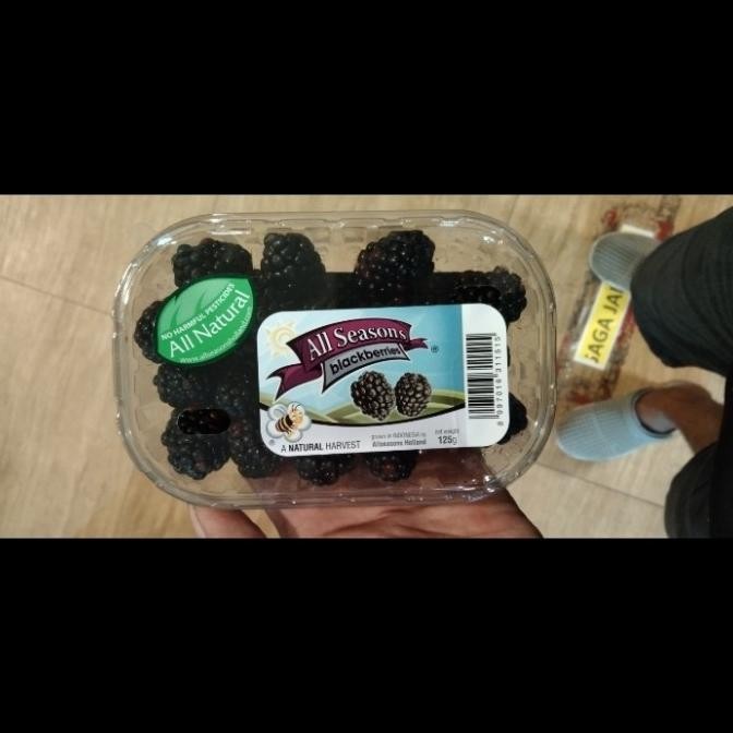 

Blackberries/Blackberryes All Seasons 1 Pack