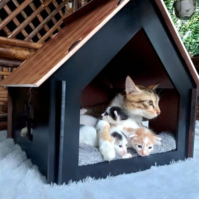 TERMURAH - Rumah kucing anjing kelinci, kandang mewah kucing