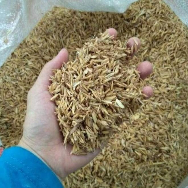 

Terlaris Sekam Padi Mentah Gabah Padi Kulit Padi Skam Arang Media Tanam 1Kg