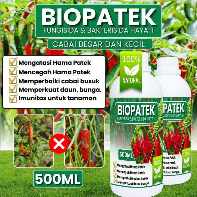 

Terlaris Biopatek 500Ml Fungisida Hayati Obat Hama Penyakit Patek Pada Cabe, Cabai Rawit Dan Cabai Besar Tanaman Lainnya Hormon Organik Jamur Padi